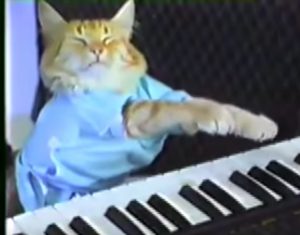 A still from a video of a cat playing a piano.